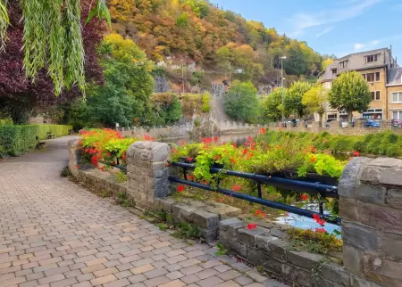 Maison avec sauna et entrée privée, 4 chambres à La Roche-en-Ardenne : photo 35