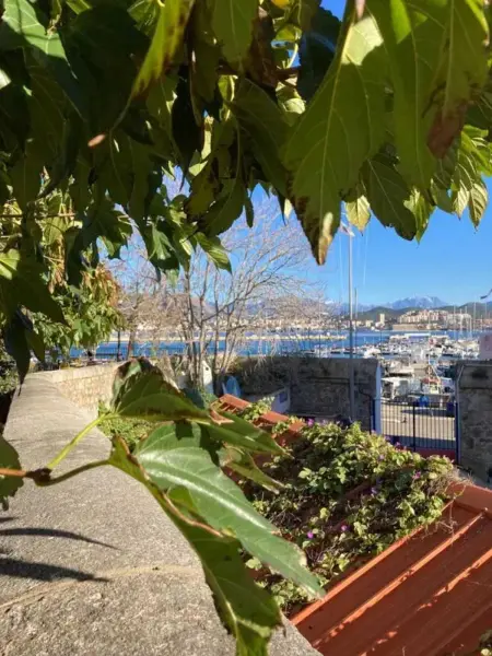 Studio cosy à Ajaccio 28 m² avec vue ville, Appartement 2 personnes à Ajaccio - Photo 30