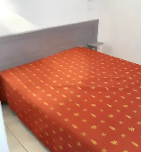 Maison familiale à Salavas avec piscine partagée et jardin : photo 7