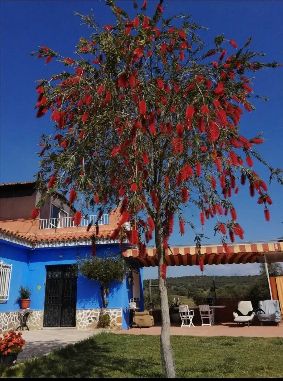 Villa 15 pers., 5 chambres, piscine privée à Guillena - Photo 49