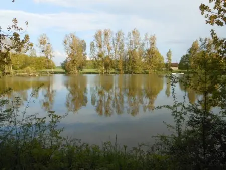 Villa 14 chambres à Courtenay : jardin clôturé et vue sur lac : photo 31