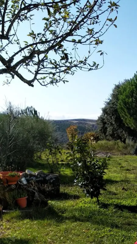 Maison avec jardin clos et vue montagne à San Cristóbal de Aliste : photo 17