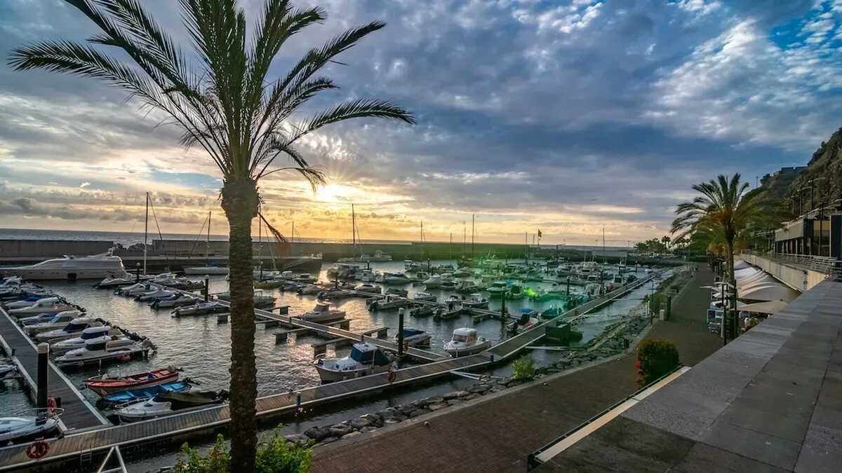 Maison vue mer à Estreito da Calheta, 3 chambres - Photo 34