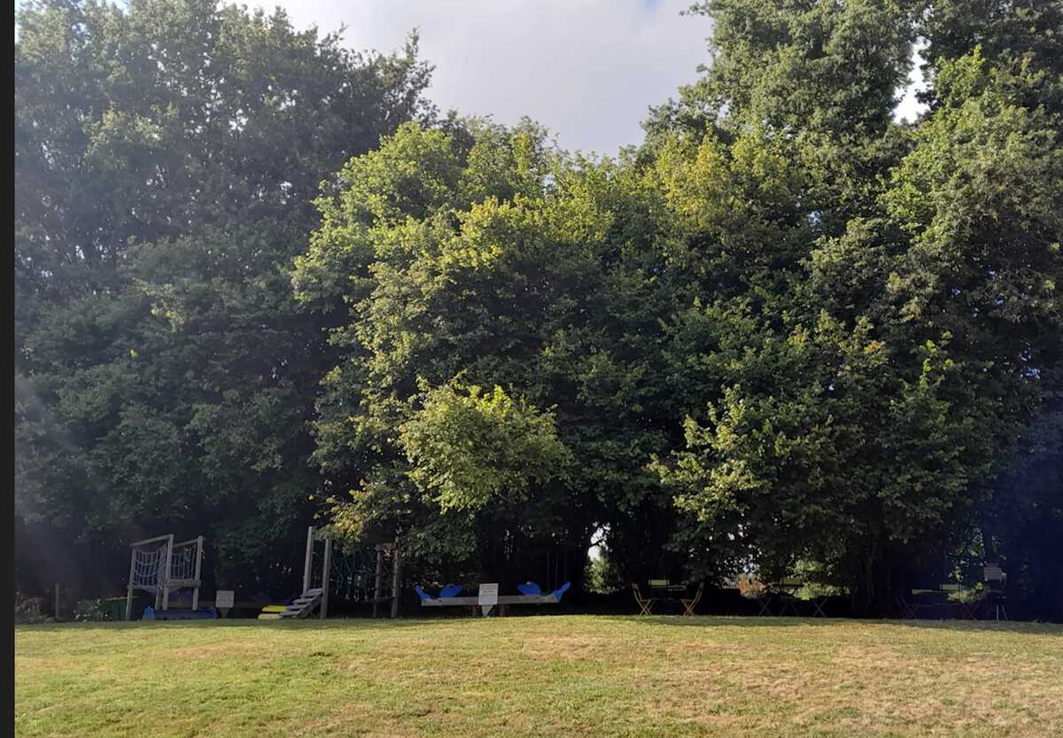 Chalet 32 m² à Saint-Sylvestre avec jardin privé - Photo 22