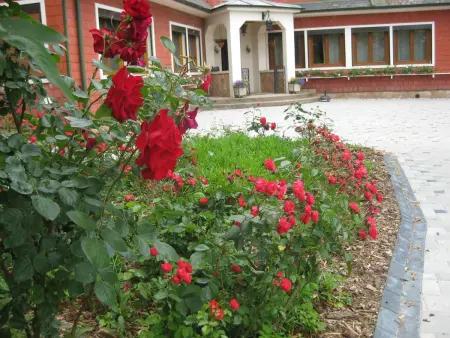 Maison spacieuse à Sermersheim avec jardin clôturé - Photo 4