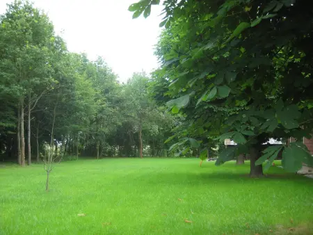 Maison spacieuse à Sermersheim avec jardin clôturé - Photo 13