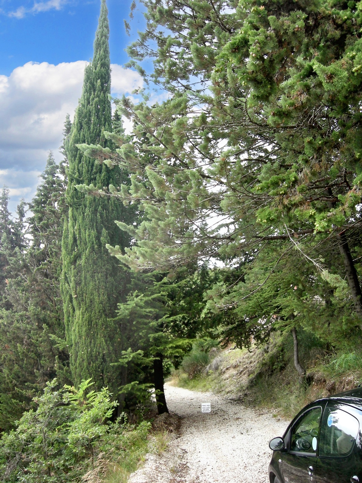 Maison 7 pers. à San Lorenzo, jardin clôturé et terrasse - Photo 21
