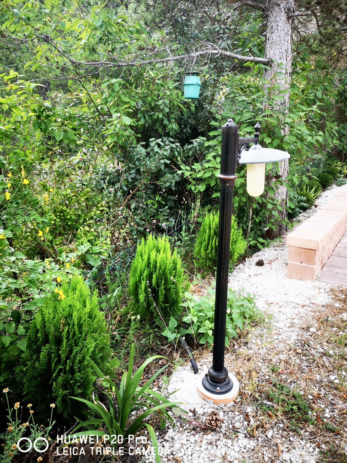 Maison 7 pers. à San Lorenzo, jardin clôturé et terrasse - Photo 26