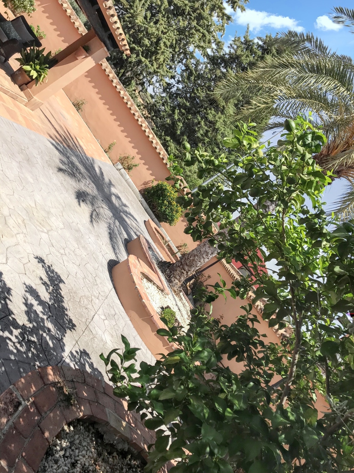 Villa 6 personnes avec piscine privée à Hornachuelos - Photo 35