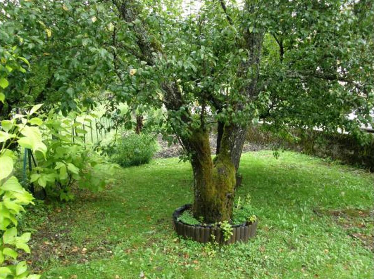 Maison 65 m² vue montagne, jardin avec tennis à Charix - Photo 14
