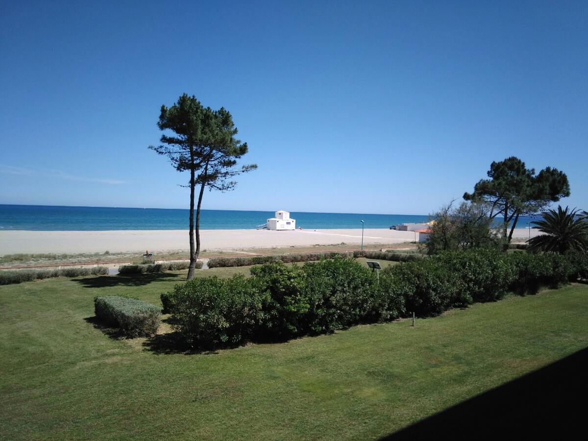 Appartement vue mer à Saint-Cyprien, 45 m² - Photo 2