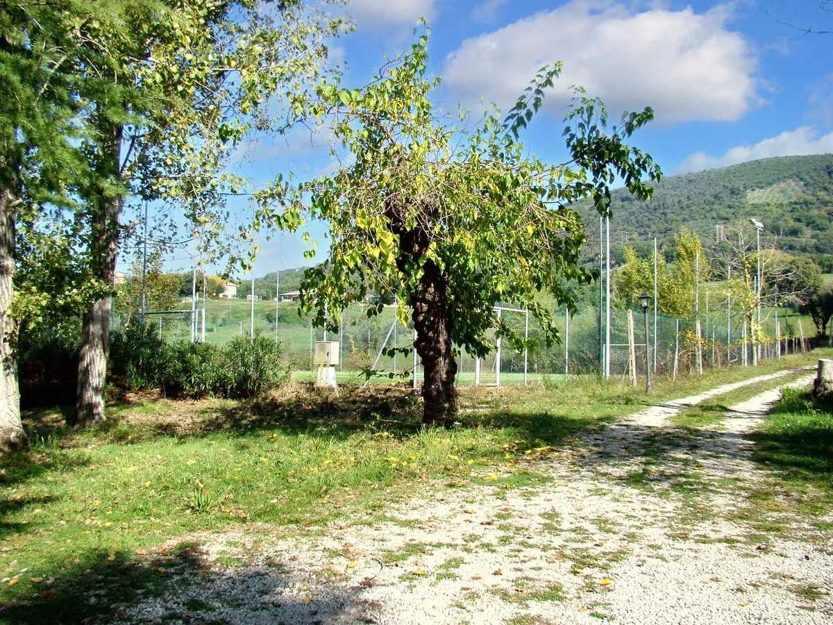 Villa 5 chambres avec piscine et terrain de jeux à Poggio Catino - Photo 48