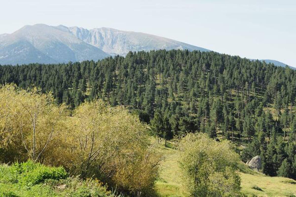 Maison 13 personnes, 5 chambres à La Llagonne avec vue montagne - Photo 42