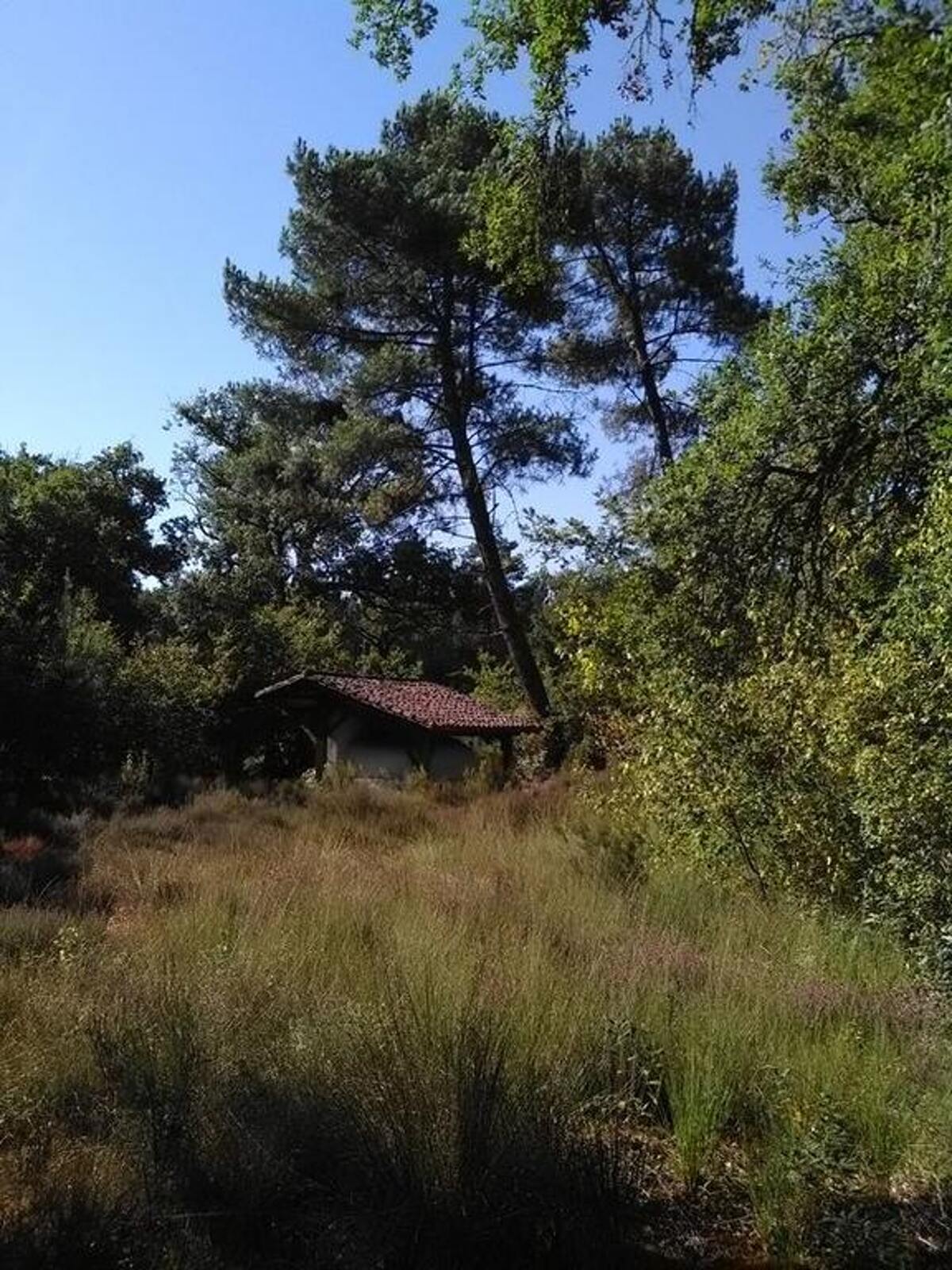 Maison rustique 12 pers. à Callen : piscine et grange événements - Photo 24