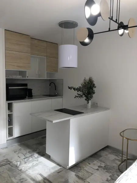 Studio 35 m² avec terrasse et vue jardin à Cannes : photo 6