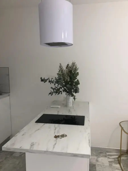 Studio 35 m² avec terrasse et vue jardin à Cannes : photo 7