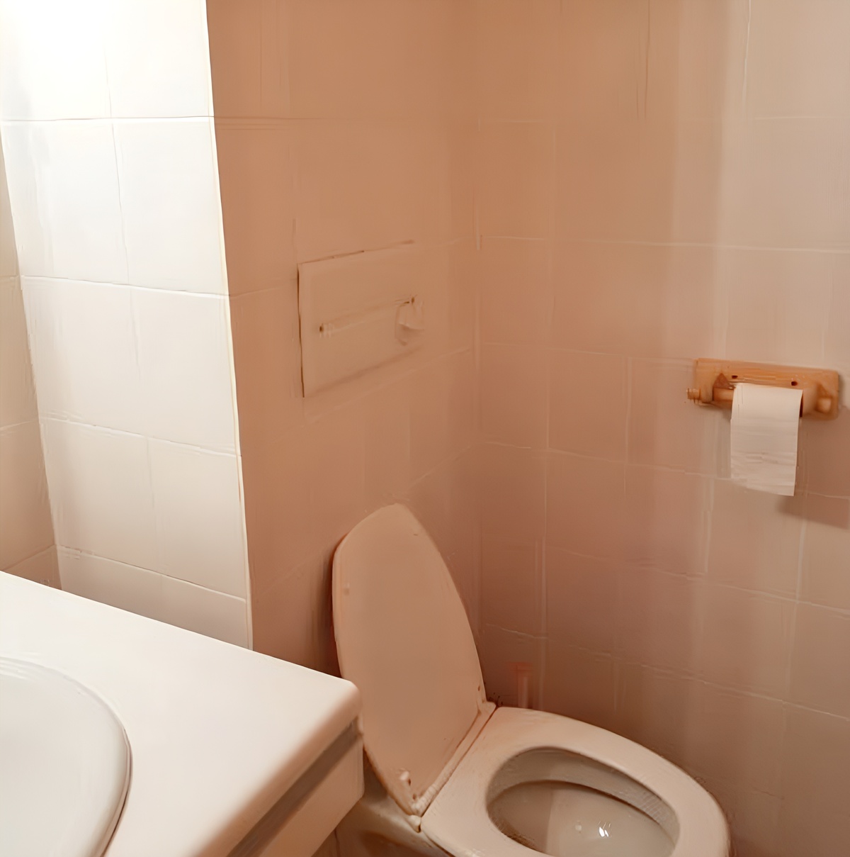 Studio 25 m² aux Gets, vue montagne et jardin - Photo 6