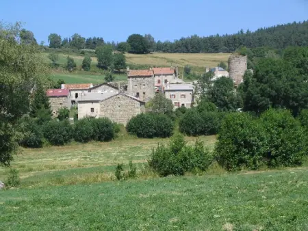 Maison Le Malzieu : 3 chambres, jardin clos et vue montagne : photo 12
