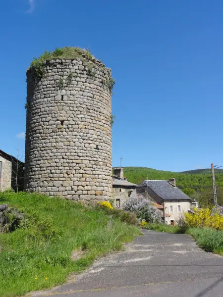 Maison Le Malzieu : 3 chambres, jardin clos et vue montagne : photo 22