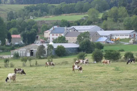 Maison Le Malzieu : 3 chambres, jardin clos et vue montagne : photo 24