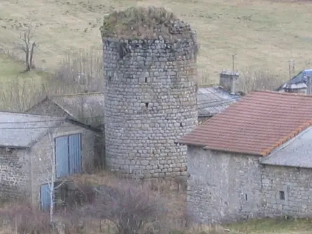 Maison Le Malzieu : 3 chambres, jardin clos et vue montagne : photo 25
