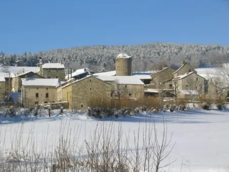 Maison Le Malzieu : 3 chambres, jardin clos et vue montagne : photo 26