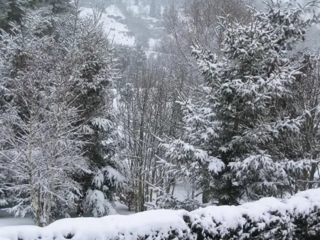 Maison Le Malzieu : 3 chambres, jardin clos et vue montagne : photo 29