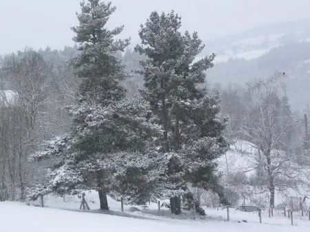 Maison Le Malzieu : 3 chambres, jardin clos et vue montagne : photo 30