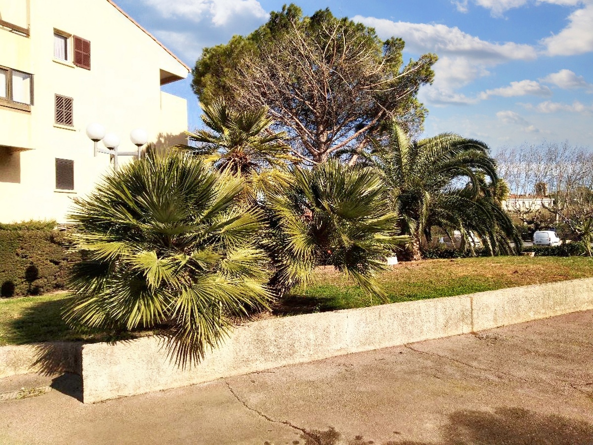 Studio 30 m² à Fréjus, piscine commune et terrasse - Photo 9