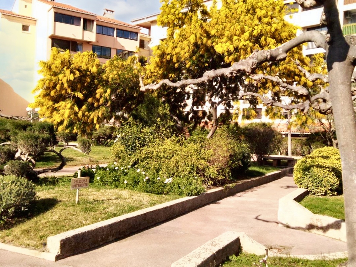 Studio 30 m² à Fréjus, piscine commune et terrasse - Photo 10