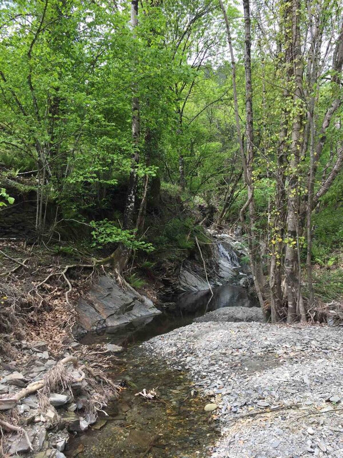 Maison 8 pers. Saint-André-de-Valborgne, jardin clôturé - Photo 28