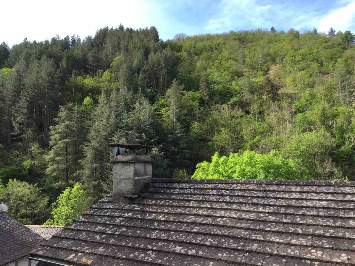 Maison 8 pers. Saint-André-de-Valborgne, jardin clôturé - Photo 30