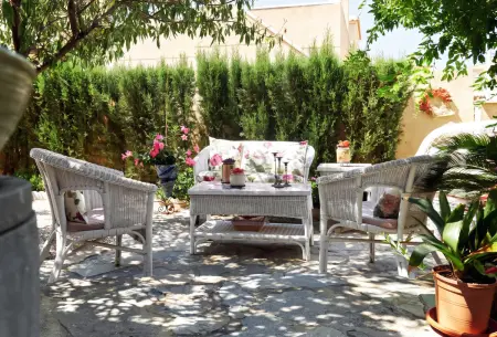 Studio avec piscine partagée et jardin à Torrevieja : photo 23
