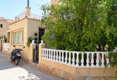 Studio avec piscine partagée et jardin à Torrevieja : photo 55