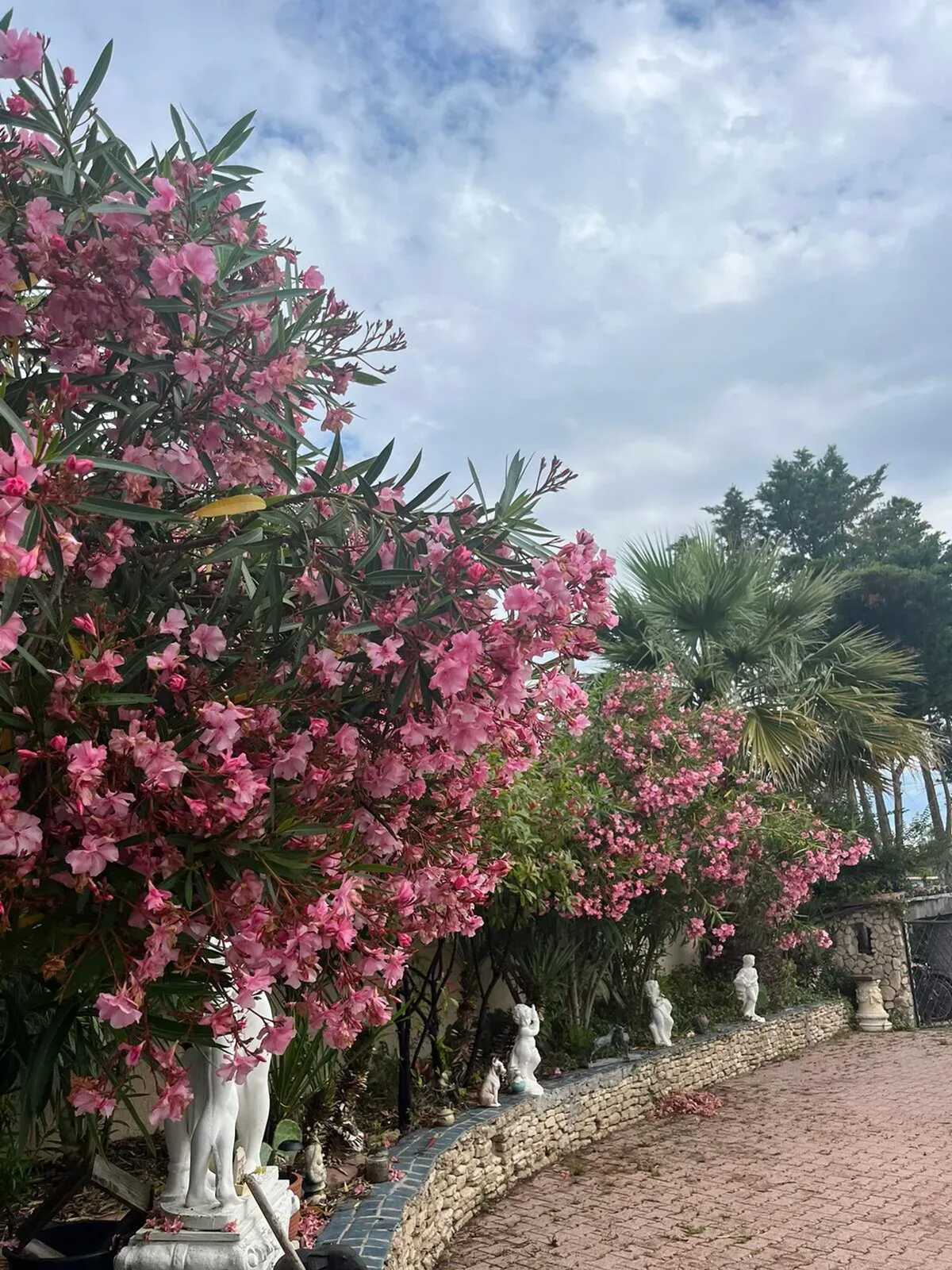 Maison 6 pers. à Marseillan, piscine privée été - Photo 14