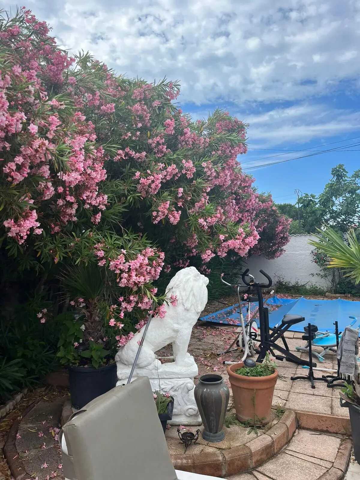 Maison 6 pers. à Marseillan, piscine privée été - Photo 17