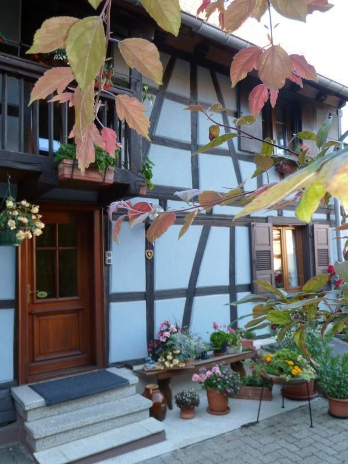 Maison 4 chambres avec terrasse et barbecue - Photo 3