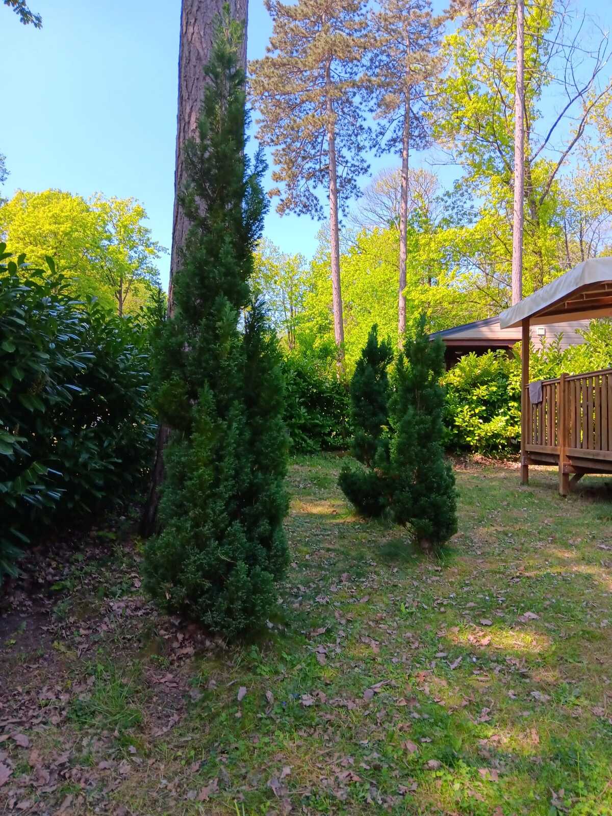 Bungalow 5 pers. avec piscine et terrasse à Saint-Chéron - Photo 17