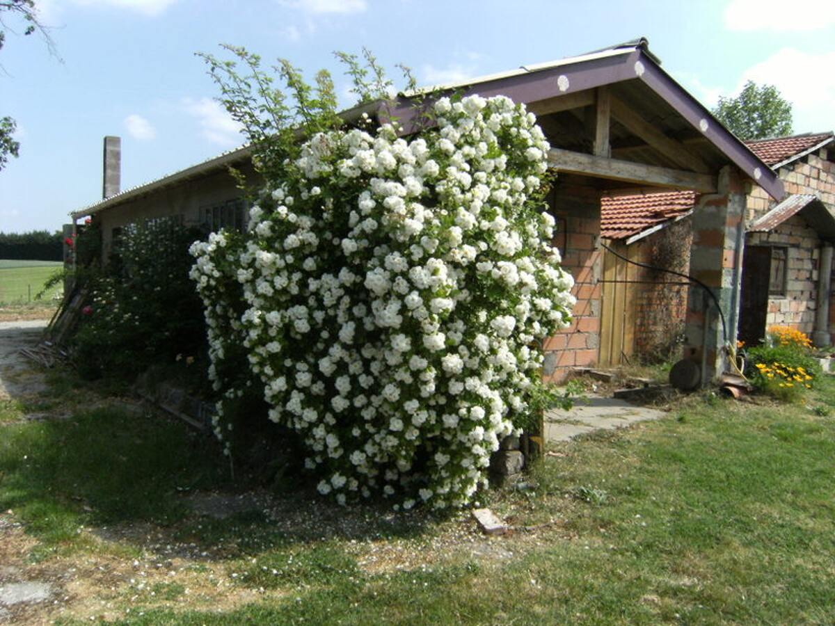 Maison familiale avec piscine partagée et jardin clos à Moissac - Photo 7