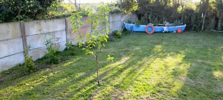 Studio avec jardin clos à Flamanville, à deux pas du littoral : photo 13