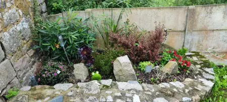 Studio avec jardin clos à Flamanville, à deux pas du littoral : photo 17