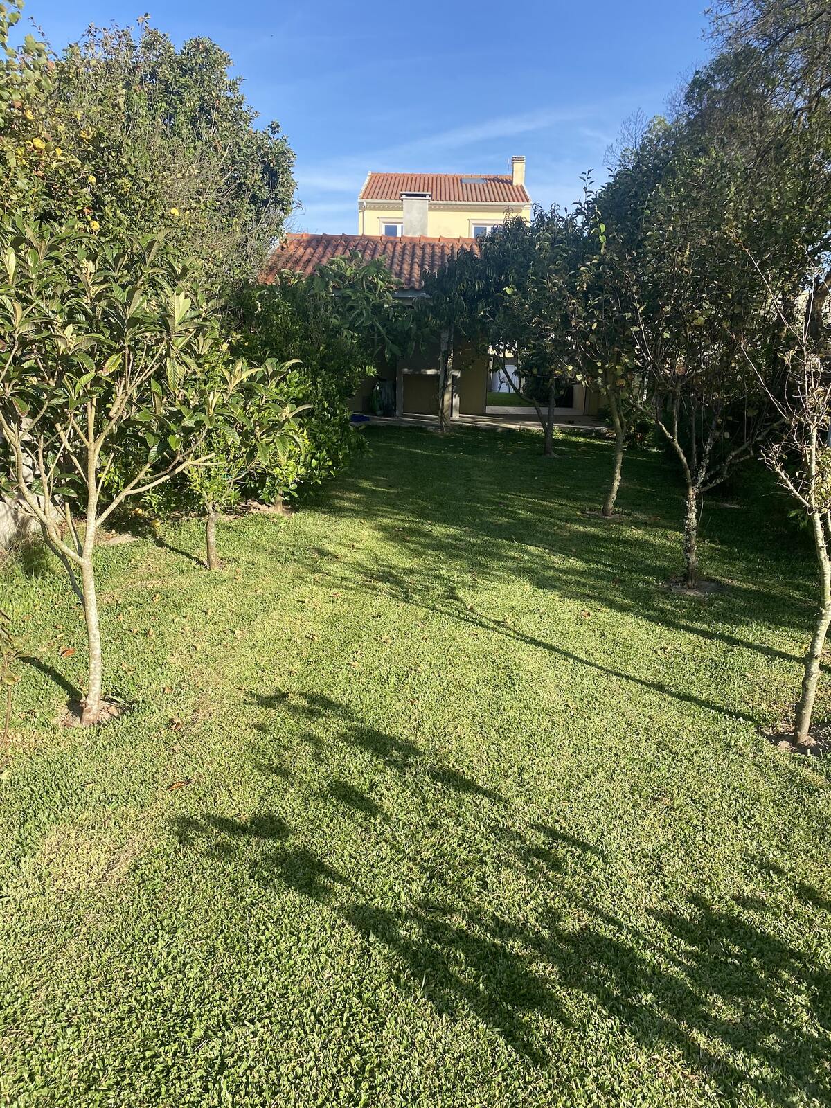 Maison 200 m² avec terrasse, jardin et barbecue à Barra de Mira - Photo 9