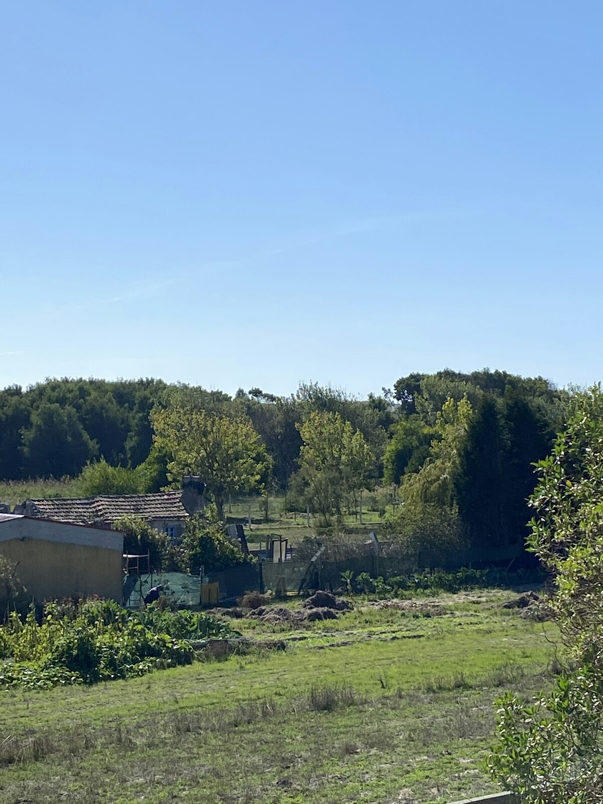 Maison 200 m² avec terrasse, jardin et barbecue à Barra de Mira - Photo 26