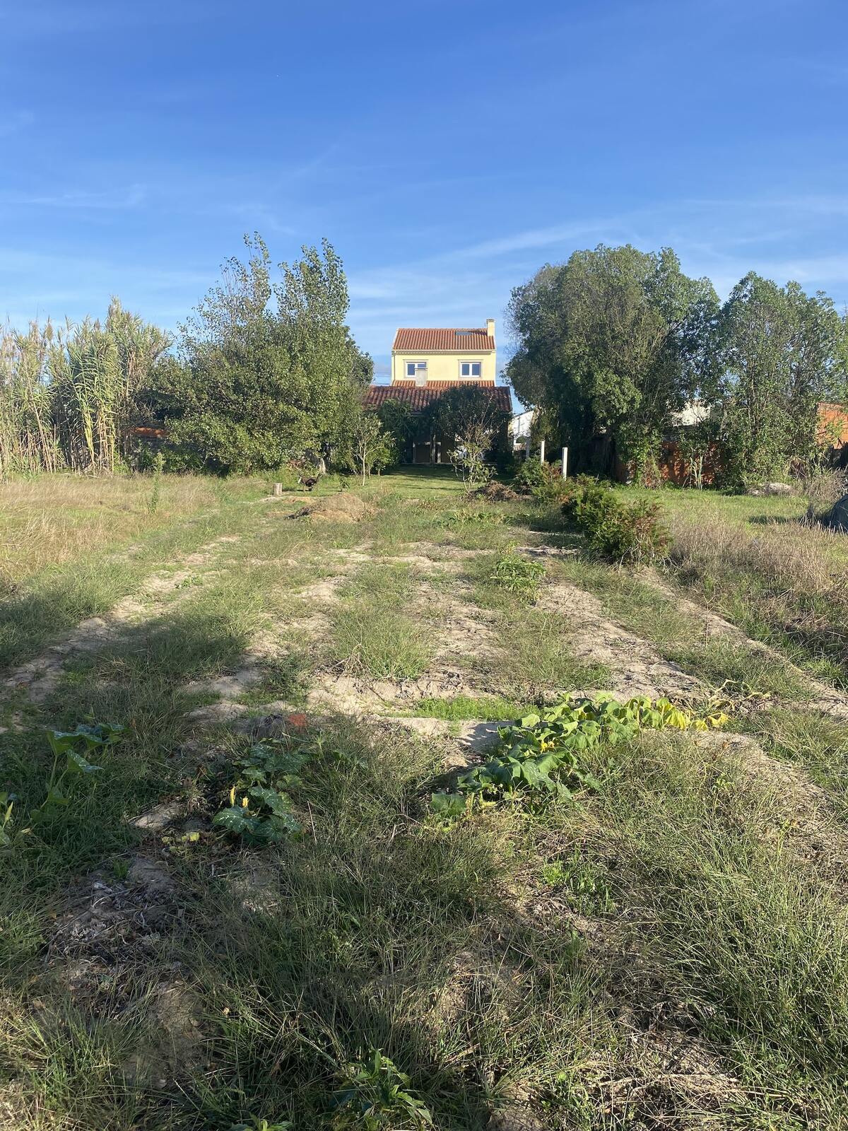 Maison 200 m² avec terrasse, jardin et barbecue à Barra de Mira - Photo 28