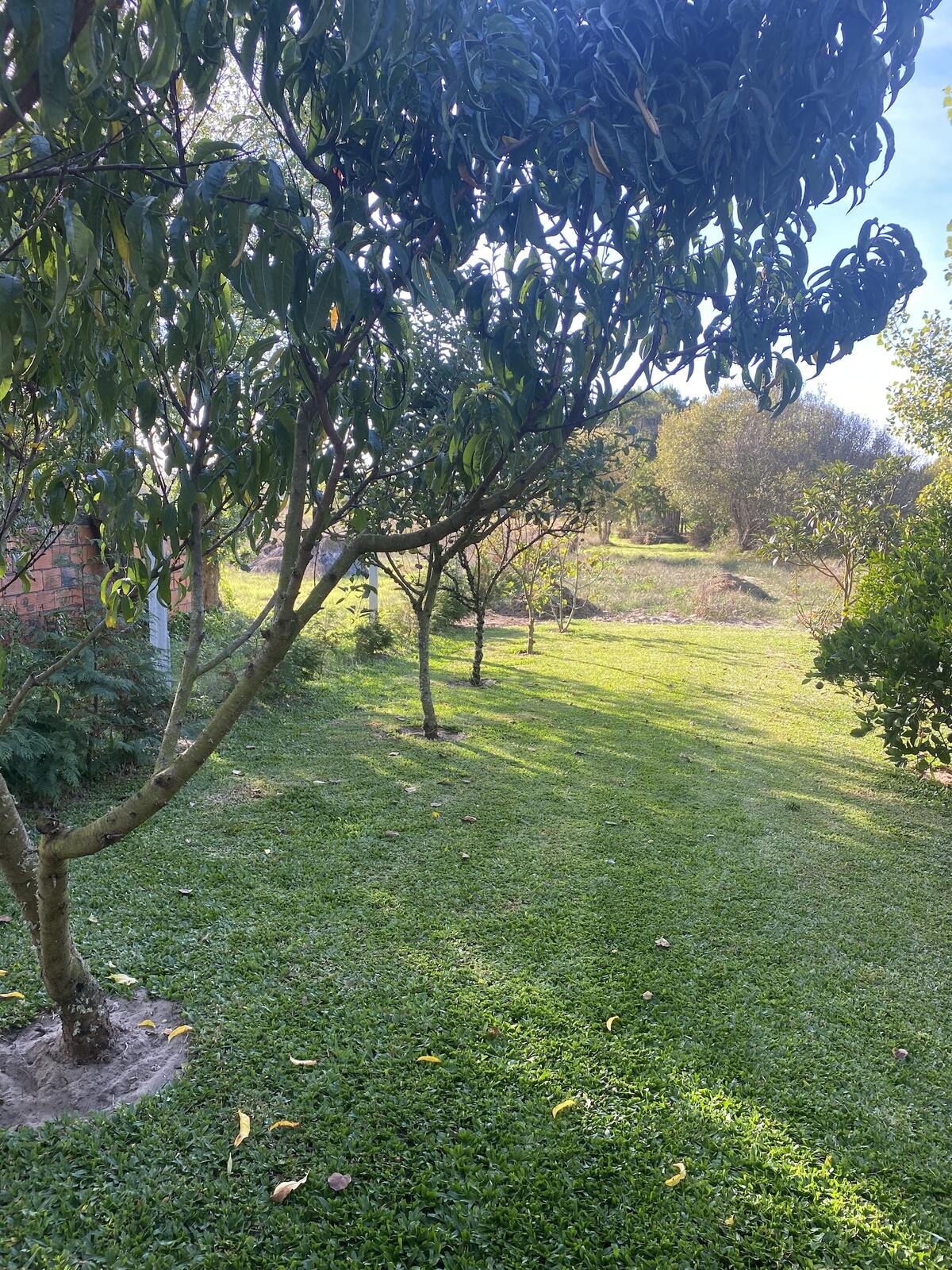 Maison 200 m² avec terrasse, jardin et barbecue à Barra de Mira - Photo 74