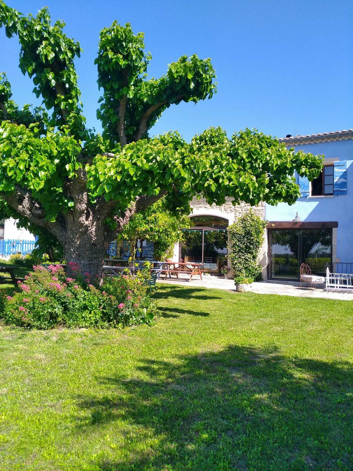 Villa 8 chambres, piscine privée pour 23 personnes - Photo 56
