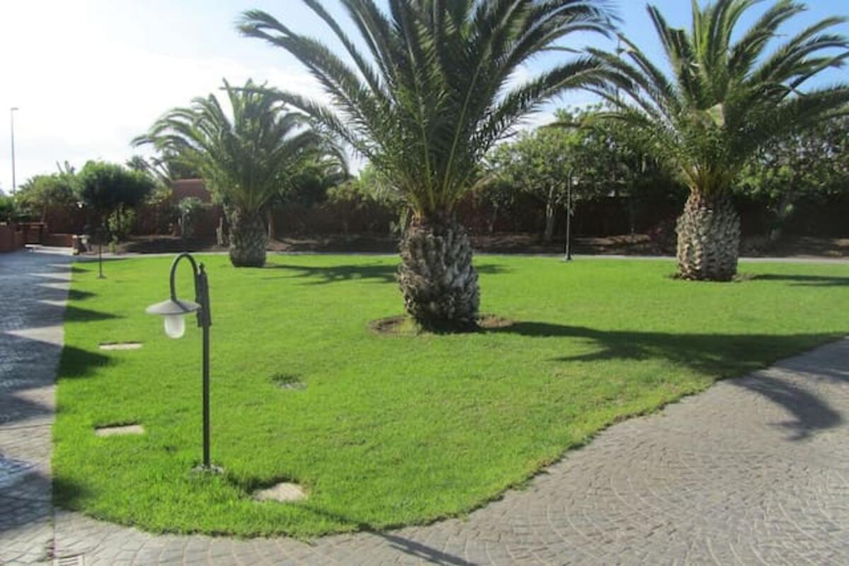 Appartement 70 m² à Granadilla, piscine ouverte toute l'année - Photo 25