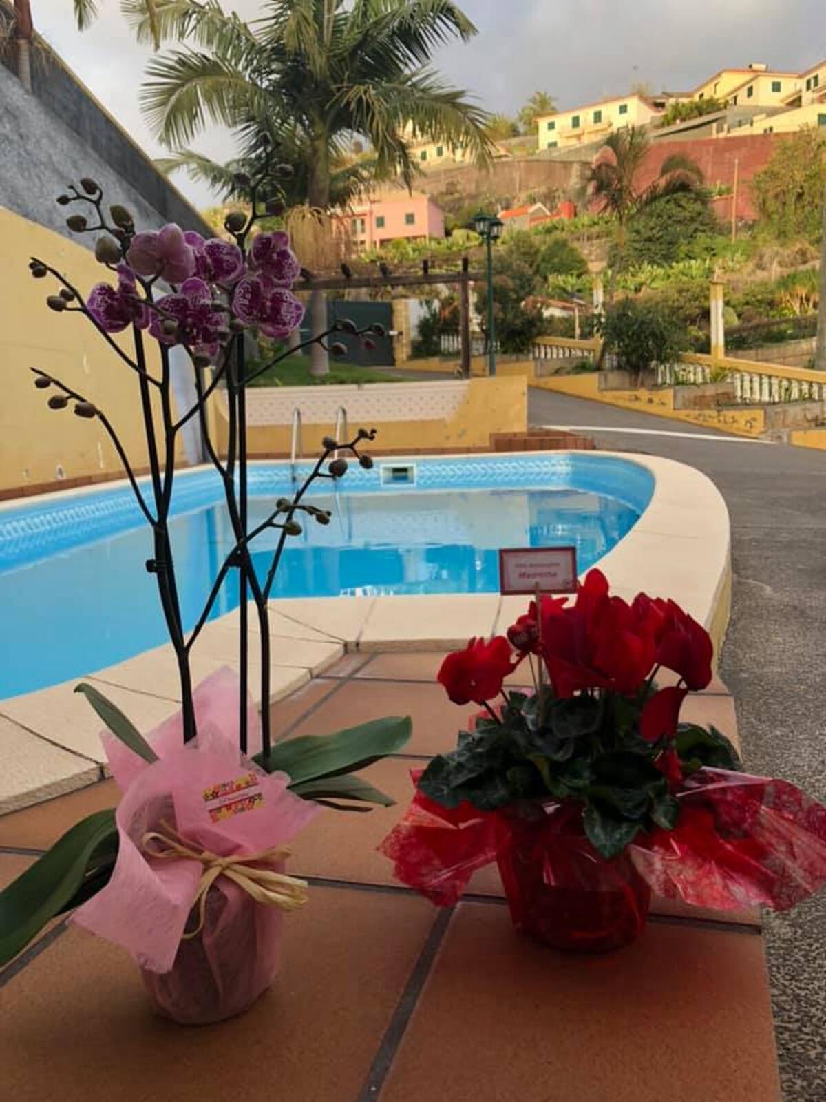 Appartement 50 m² avec piscine privée à Lombo Do Doutor - Photo 5