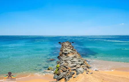 Appartement vue mer à 17 m de la plage, Sant Antoni de Calonge : photo 55