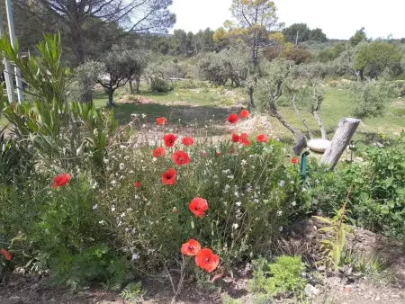 Villa 8 chambres à Mouriès avec piscine privée et vue montagne : photo 31
